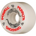 Powell-Peralta Dragon Formula 64mm Skateboard Rollen