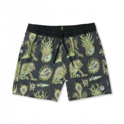 Volcom Tetsunori Trunk 17 Shorts