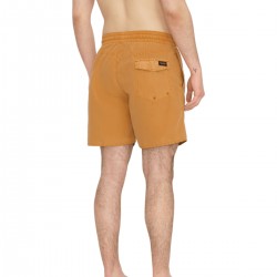 Volcom Center Trunk 17 Shorts