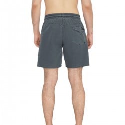 Volcom Center Trunk 17 Shorts