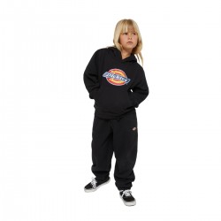 Dickies Icon Logo Kids Hoodie