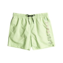 Billabong All Day Heritage Layback Swimming Trunks