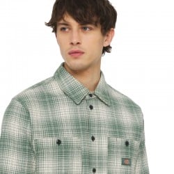 Dickies Evansville Shirt