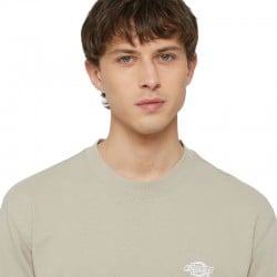 Dickies Summerdale T-Shirt