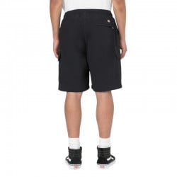 Dickies Jackson Cargo Shorts