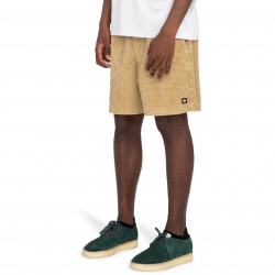 Element Chillin Cord Shorts