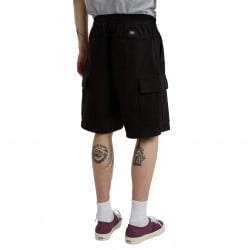 Vans Range Cargo Loose Shorts