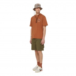 Dickies Jackson Cargo Shorts