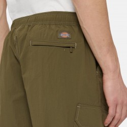 Dickies Jackson Cargo Shorts