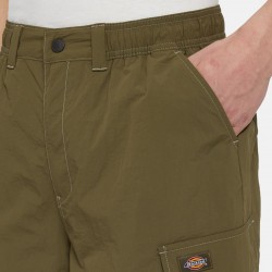 Dickies Jackson Cargo Shorts