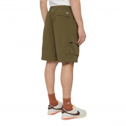 Dickies Jackson Cargo Shorts