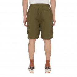 Dickies Jackson Cargo Shorts