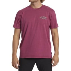 Billabong Arch Wash T-Shirt