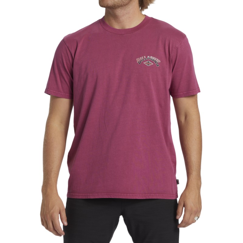 Billabong Arch Wash T-Shirt