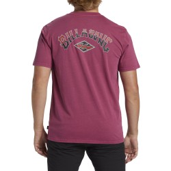 Billabong Arch Wash T-Shirt