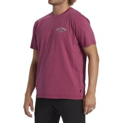 Billabong Arch Wash T-Shirt