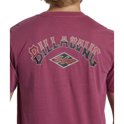 Billabong Arch Wash T-Shirt