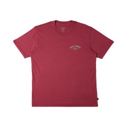 Billabong Arch Wash T-Shirt