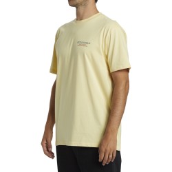 Billabong Twin Fins T-Shirt