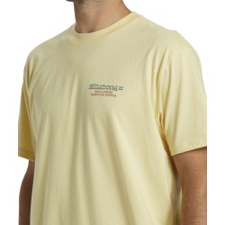 Billabong Twin Fins T-Shirt