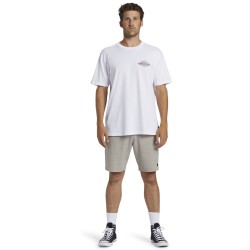 Billabong Crayon Wave T-Shirt