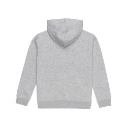 Element Cornell Classic Kids Hoodie