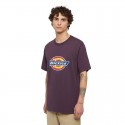 Dickies Icon Logo T-Shirt -...