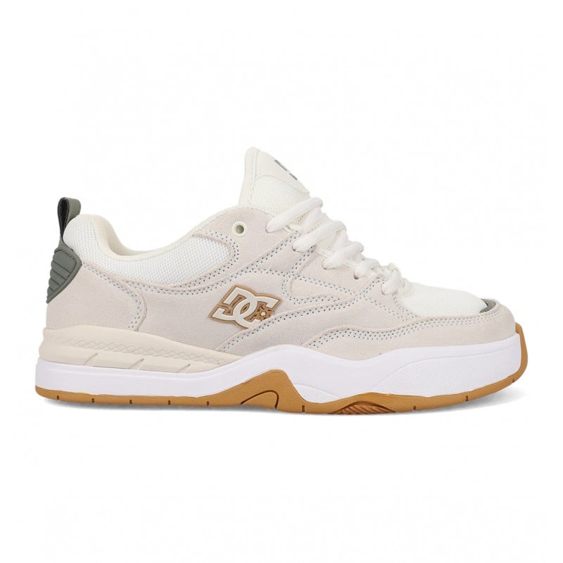 DC Shoes Ascend Shoes