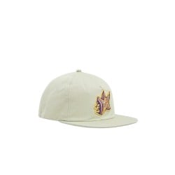 Vans Skate Star Low Unstructured Cap