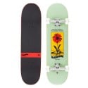 Arbor Street  8.25" Skateboard Complete