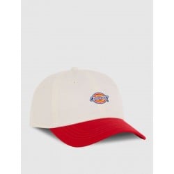 Dickies Hardwick 2 Tone Cap