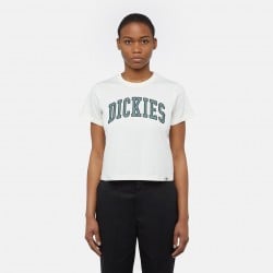 Dickies Aitkin T-Shirt...