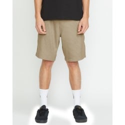 Volcom Frickin Ew Shorts 19