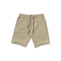 Volcom Frickin Ew Shorts 19