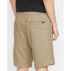 Volcom Frickin Ew Shorts 19