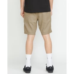 Volcom Frickin Ew Shorts 19