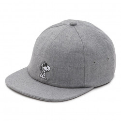 vans peanuts cap