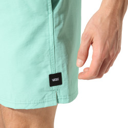 Vans Primary Volley II Boardshorts