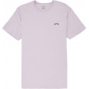 Billabong Arch Washed T-Shirt