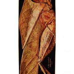 Powell-Peralta Levon Biss Dead Leaf Grasshopper Shape 249 8.5" Skateboard Deck