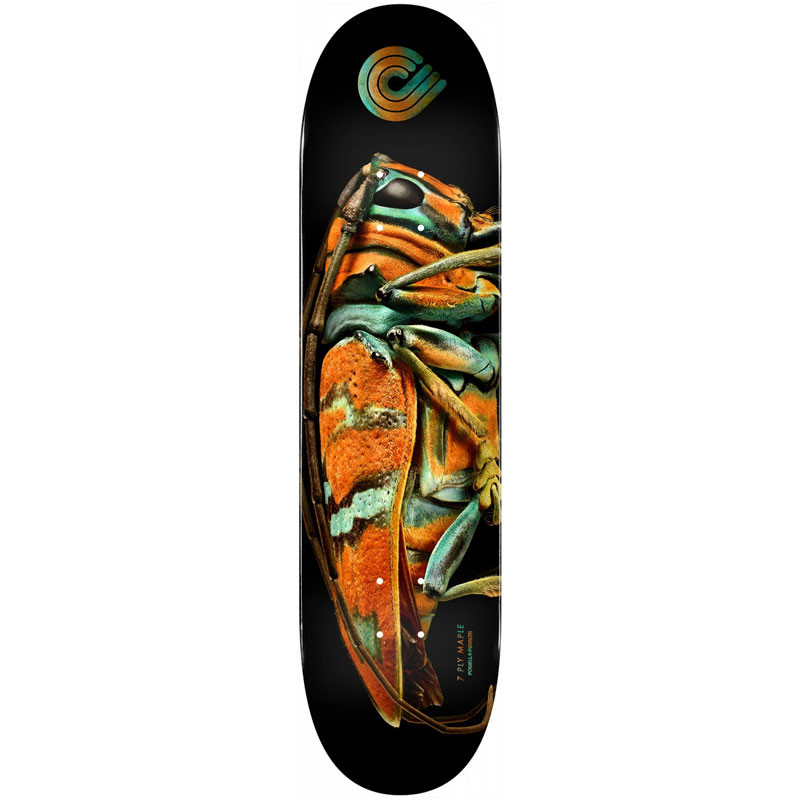 Buy Powell-Peralta Levon Biss Jewel Longhorn Beetle Shape 246 9.0 ...