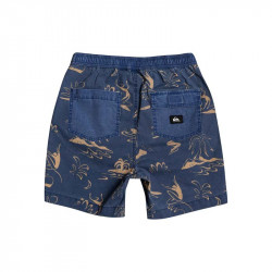 Quiksilver Taxer Kids Shorts