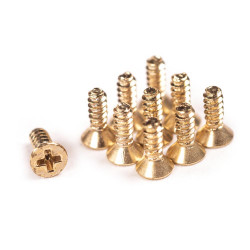 Blackriver Achsen First Aid Screws - Fingerboard