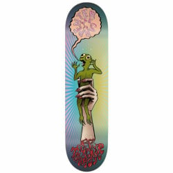 Toy Machine Carpenter Turtle In Hand 8.0" Skateboard Deck