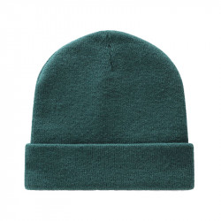 Dickies Gibsland Beanie