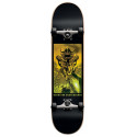 Darkstar Molten First Push 7.75" Skateboard Complete