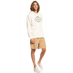 Quiksilver Stir It Up Hoodie