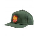 Spitfire Bighead Fill Snapback Cap